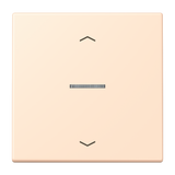 JUNG Kontrollwippe Jalousie mt LC 101 KO5P 238 ter_sie_pal Pfeile