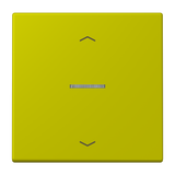 JUNG Kontrollwippe Jalousie mt LC 101 KO5P 249 ver_oli_vif Pfeile