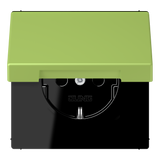JUNG Steckdose 1f ver_cla UP Klappd IP20 LC 1520 BFKL 221 vert