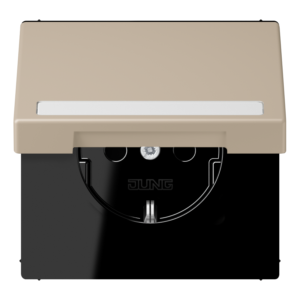 JUNG Steckdose 1f omb_nat_cla mt UP m.BS LC 1520 BFNAKL 243 Klappd IP20 BSF vert
