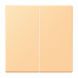 JUNG Bedienelement 2f ter_sie_59 m.Abd LC 1702 258 f.Dimmeins f.Schalteins mt