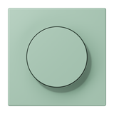JUNG Abdeckung Symbol Dimmer ver_ang_cla LC 1740 217 mt