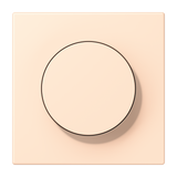 JUNG Abdeckung Symbol Dimmer ter_sie_pal LC 1740 238 mt