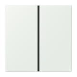 JUNG Wippe 1t Schalter out_gri mt LC 401 TSA 210 f.Bussystem