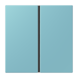 JUNG Wippe 1t Schalter cer_moy mt LC 401 TSA 213 f.Bussystem