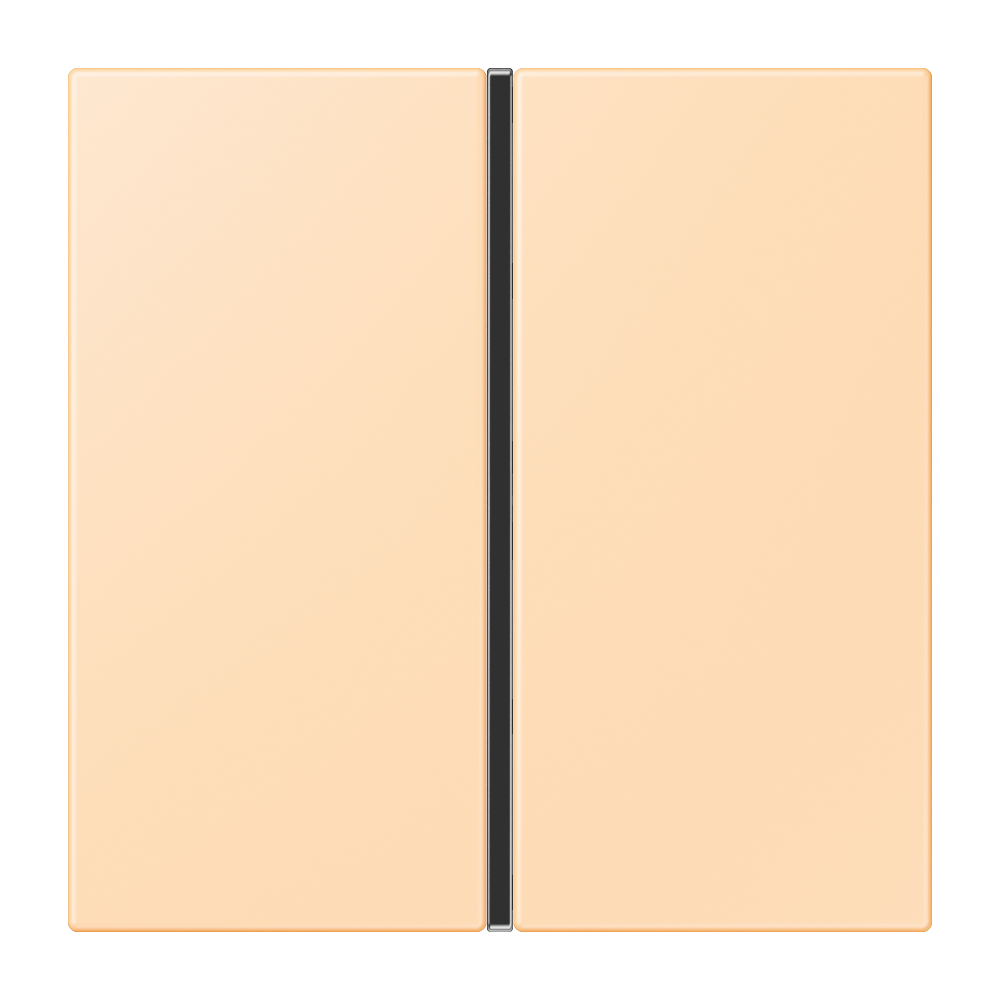 JUNG Wippe 1t Schalter ocre mt LC 401 TSA 223 f.Bussystem