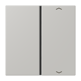 JUNG Wippe 1t Schalter gri_cla_31 glz LC 401 TSAP 205 Pfeile f.Bussystem