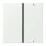 JUNG Wippe 1t Schalter out_gri glz LC 401 TSAP 210 Pfeile f.Bussystem
