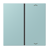 JUNG Wippe 1t Schalter cer_cla glz LC 401 TSAP 214 Pfeile f.Bussystem