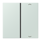 JUNG Wippe 1t Schalter cer_pal glz LC 401 TSAP 215 Pfeile f.Bussystem