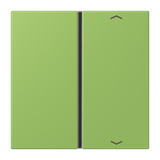 JUNG Wippe 1t Schalter ver_31 glz LC 401 TSAP 220 Pfeile f.Bussystem
