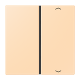 JUNG Wippe 1t Schalter ocre glz Pfeile LC 401 TSAP 223 f.Bussystem