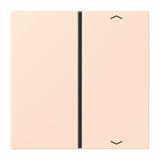 JUNG Wippe 1t Schalter or_pal glz LC 401 TSAP 226 Pfeile f.Bussystem
