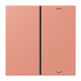 JUNG Wippe 1t Schalter l'ocr_rou_moy glz LC 401 TSAP 233 Pfeile f.Bussystem