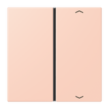 JUNG Wippe 1t Schalter l'ocr_rou_cla glz LC 401 TSAP 234 Pfeile f.Bussystem