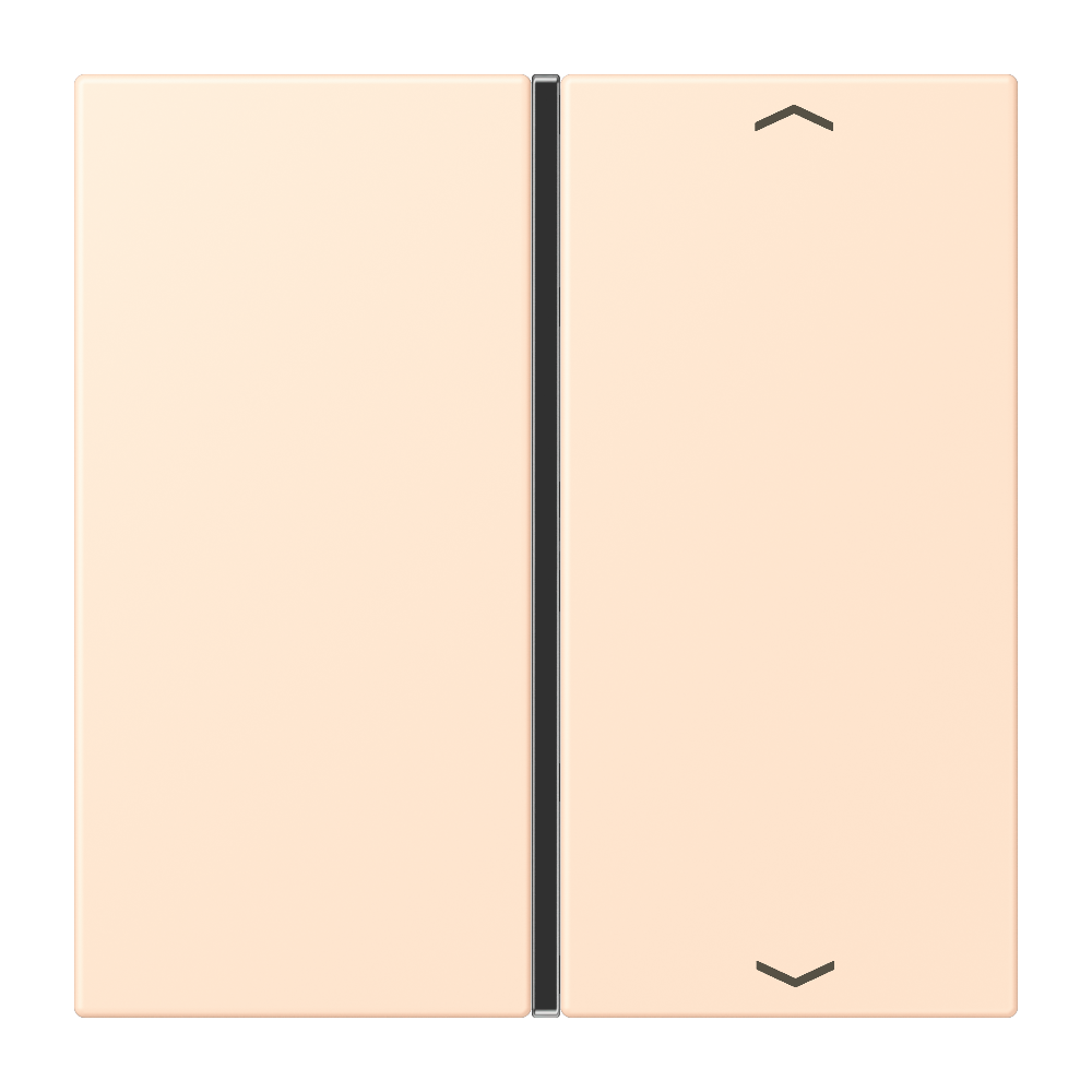 JUNG Wippe 1t Schalter ter_sie_pal glz LC 401 TSAP 238 Pfeile f.Bussystem