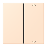 JUNG Wippe 1t Schalter ter_sie_pal glz LC 401 TSAP 238 Pfeile f.Bussystem