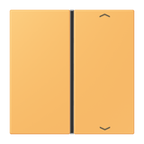 JUNG Wippe 1t Schalter ocr_jau_cla glz LC 401 TSAP 254 Pfeile f.Bussystem