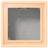 JUNG Gehäuse AP 1f Kst ocre mt AP-Geh LC 581 A 223 IP2X