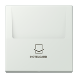 JUNG Hotelcard Schalter out_gri mt LS LC 590 CARD 210 Hotelcard