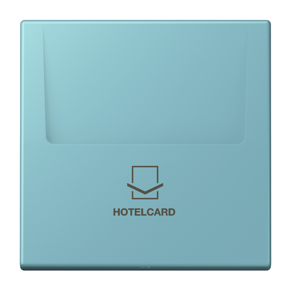 JUNG Hotelcard Schalter cer_moy mt LS LC 590 CARD 213 Hotelcard
