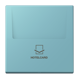 JUNG Hotelcard Schalter cer_moy mt LS LC 590 CARD 213 Hotelcard