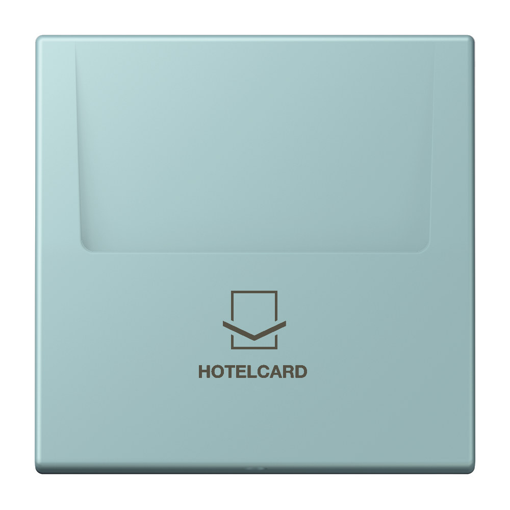 JUNG Hotelcard Schalter cer_cla mt LS LC 590 CARD 214 Hotelcard