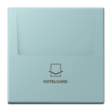 JUNG Hotelcard Schalter cer_cla mt LS LC 590 CARD 214 Hotelcard