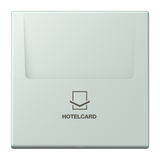 JUNG Hotelcard Schalter cer_pal mt LS LC 590 CARD 215 Hotelcard
