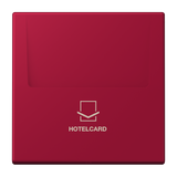 JUNG Hotelcard Schalter rou_car mt LS LC 590 CARD 229 Hotelcard