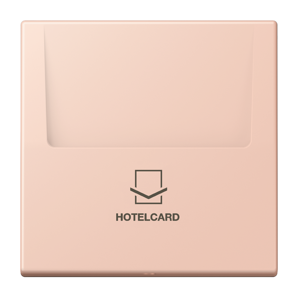 JUNG Hotelcard Schalter l'ocr_rou_cla mt LS LC 590 CARD 234 Hotelcard