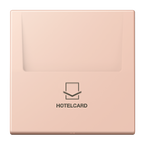 JUNG Hotelcard Schalter l'ocr_rou_cla mt LS LC 590 CARD 234 Hotelcard