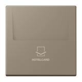 JUNG Hotelcard Schalter omb_nat_moy mt LS LC 590 CARD 242 Hotelcard