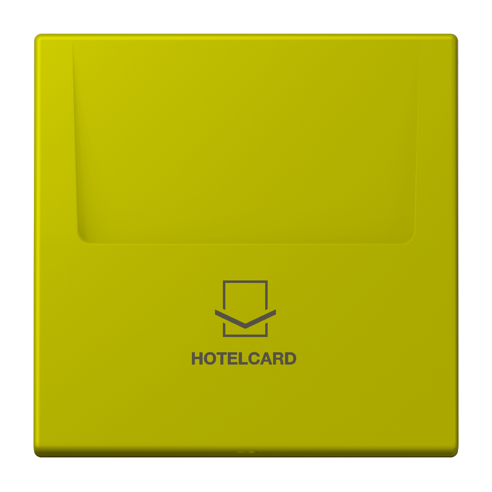 JUNG Hotelcard Schalter ver_oli_vif mt LS LC 590 CARD 249 Hotelcard