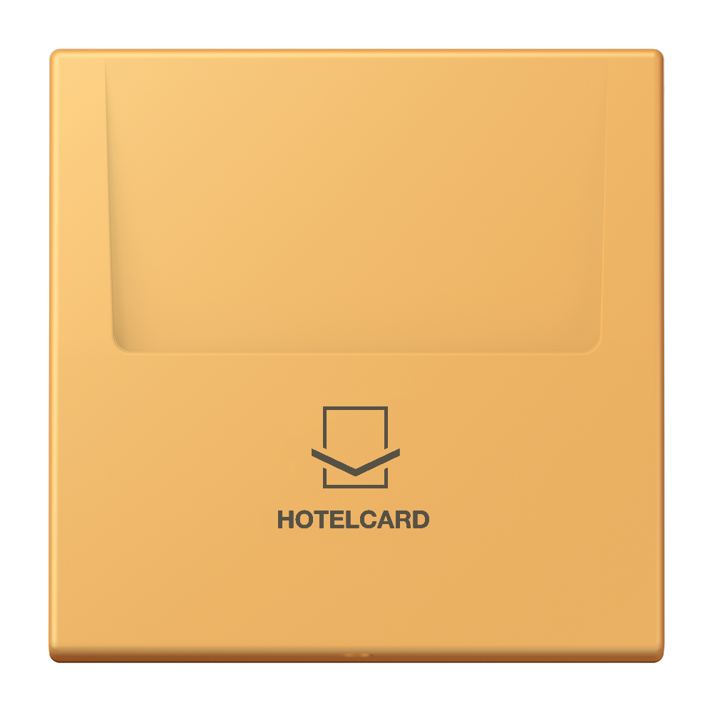 JUNG Hotelcard Schalter ocr_jau_cla mt LS LC 590 CARD 254 Hotelcard