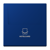 JUNG Hotelcard Schalter ble_out_fon mt LS LC 590 CARD 261 Hotelcard
