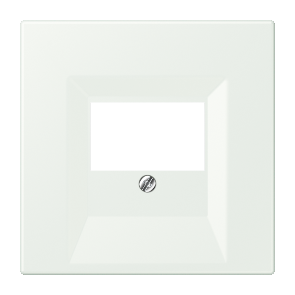 JUNG Zentralplatte TAE out_gri LC 969 T 210 Schraubbef