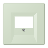 JUNG Zentralplatte TAE ver_ang_pal LC 969 T 218 Schraubbef