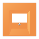 JUNG Zentralplatte TAE or_cla Schraubbef LC 969 T 225 ohne Beschriftungsfeld