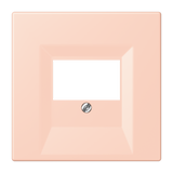 JUNG Zentralplatte TAE l'ocr_rou_cla LC 969 T 234 Schraubbef