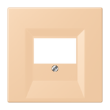 JUNG Zentralplatte TAE ter_sie_31 LC 969 T 237 Schraubbef
