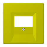 JUNG Zentralplatte TAE ver_oli_vif LC 969 T 249 Schraubbef