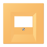 JUNG Zentralplatte TAE ocr_jau_cla LC 969 T 254 Schraubbef