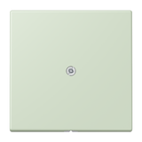 JUNG Tragring Leitungsauslass Schraubbef LC 990 A 218 ver_ang_pal