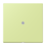 JUNG Tragring Leitungsauslass Schraubbef LC 990 A 222 ver_jau_cla