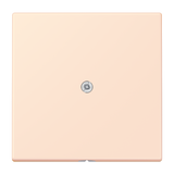 JUNG Tragring Leitungsauslass or_pal LC 990 A 226 Schraubbef