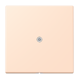 JUNG Tragring Leitungsauslass ros_pal LC 990 A 228 Schraubbef