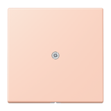 JUNG Tragring Leitungsauslass Schraubbef LC 990 A 234 l'ocr_rou_cla