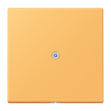 JUNG Tragring Leitungsauslass Schraubbef LC 990 A 254 ocr_jau_cla