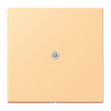 JUNG Tragring Leitungsauslass ter_sie_59 LC 990 A 258 Schraubbef